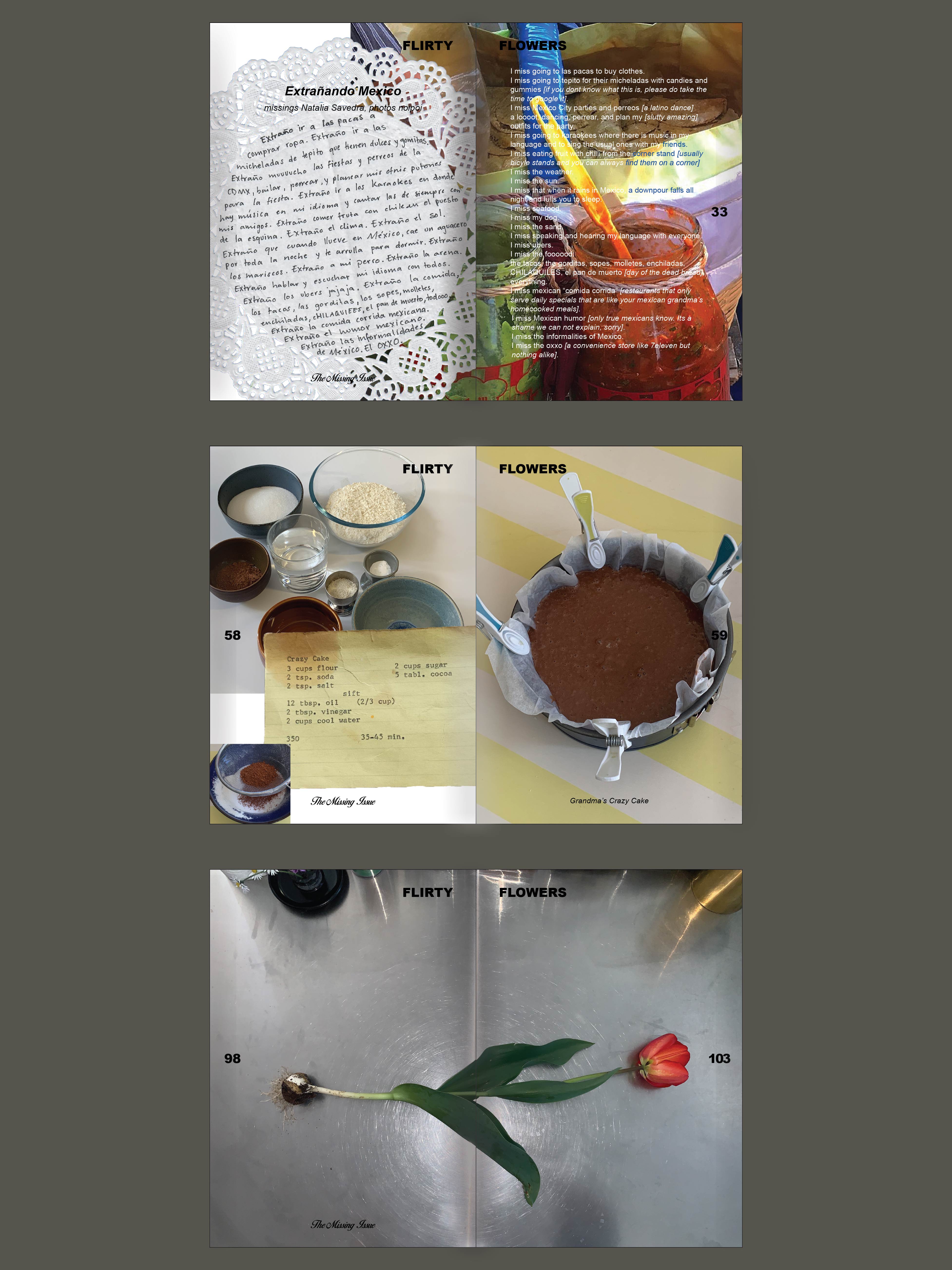 Flirty Flowers Book - The Missing Issue