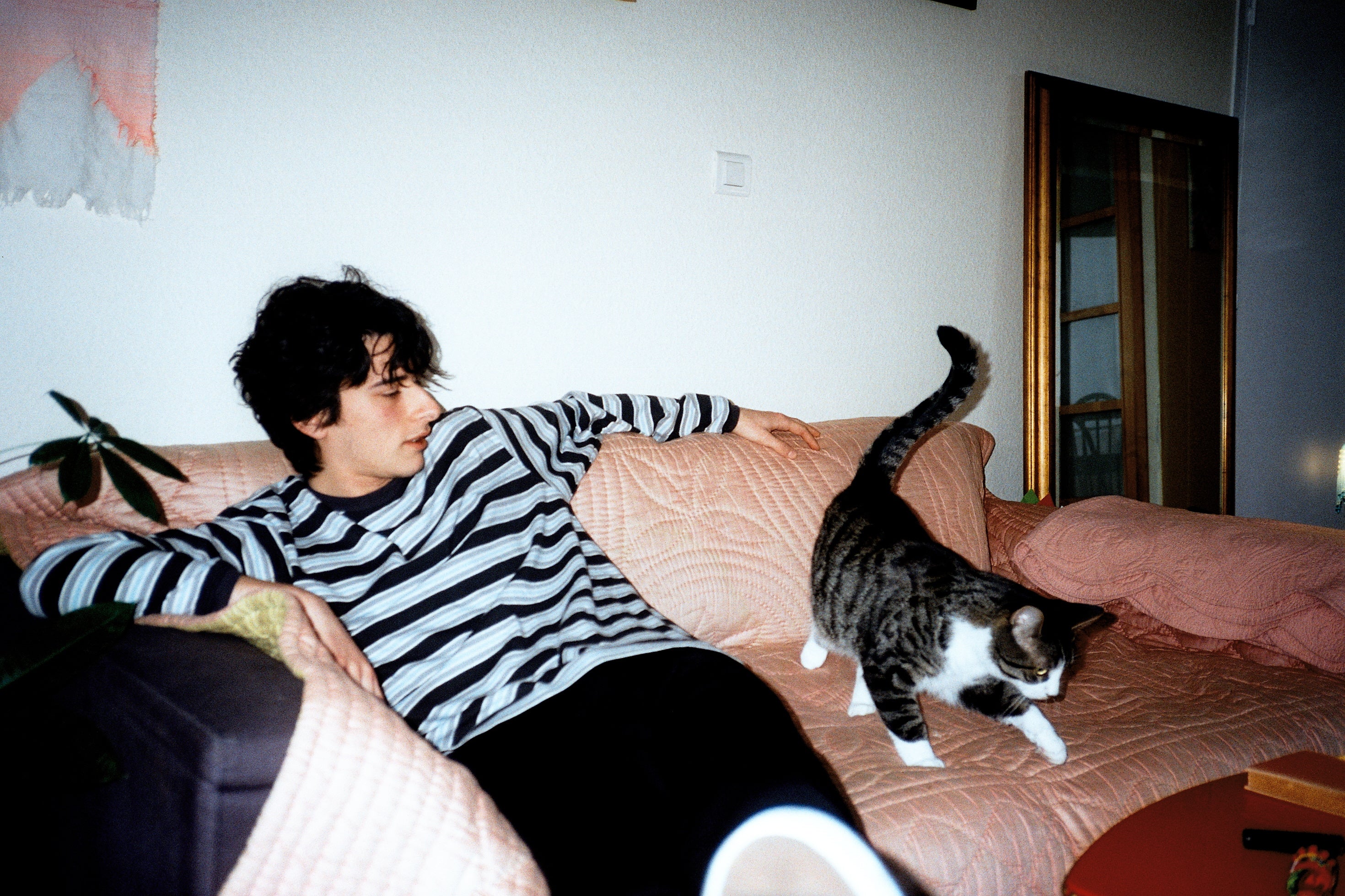 Crest Clothing officiel product shop - lookbook collection fall winter 2023