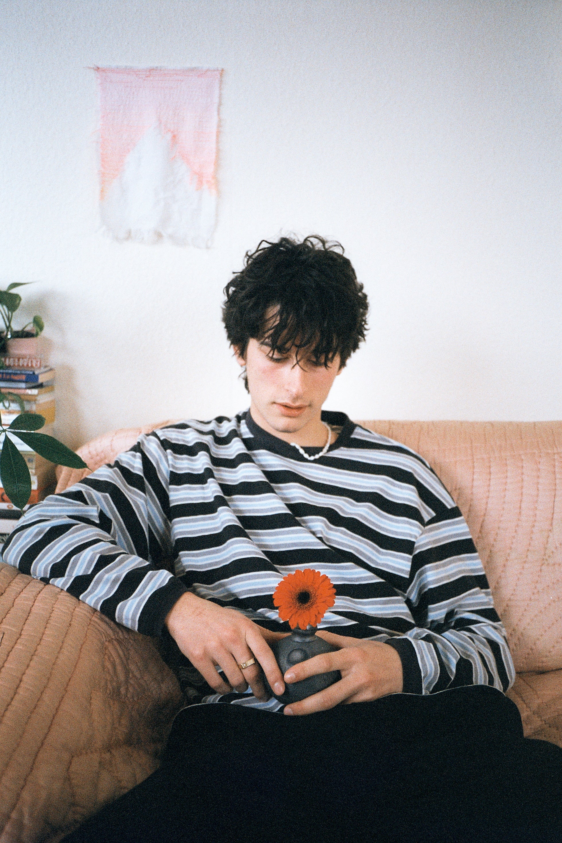 Crest Clothing officiel product shop - lookbook collection fall winter 2023