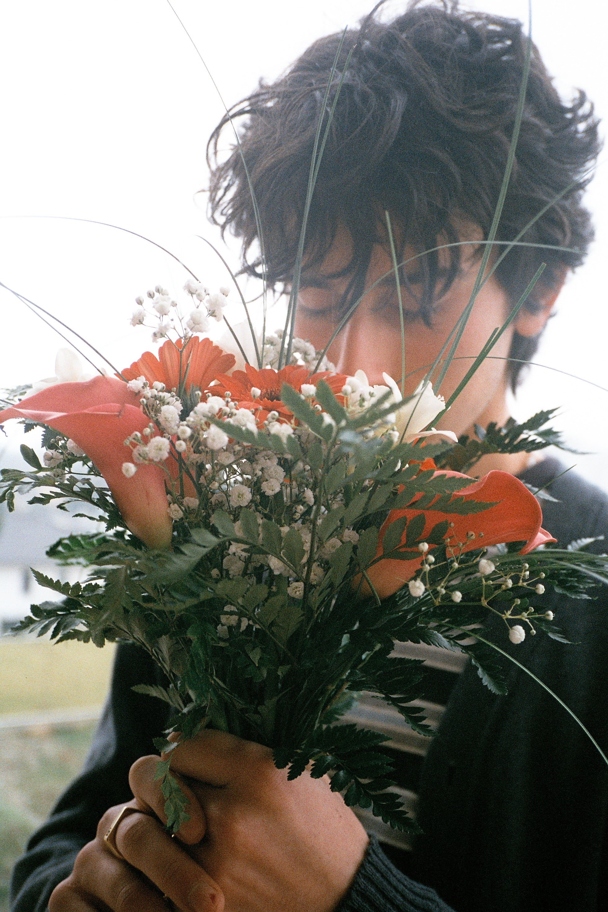 Crest Clothing officiel product shop - lookbook collection fall winter 2023